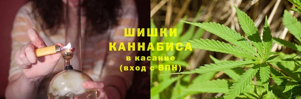 винт Арсеньев