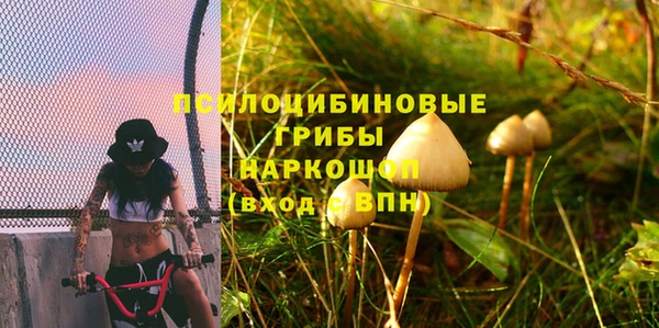 винт Арсеньев