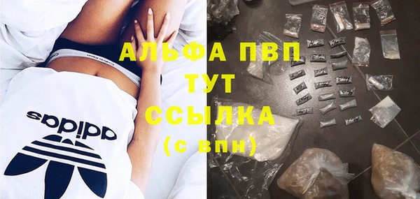 винт Арсеньев