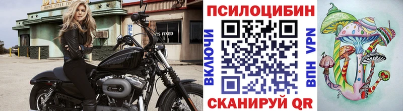 Купить закладки Троицк Галлюциногенные грибы Cubensis